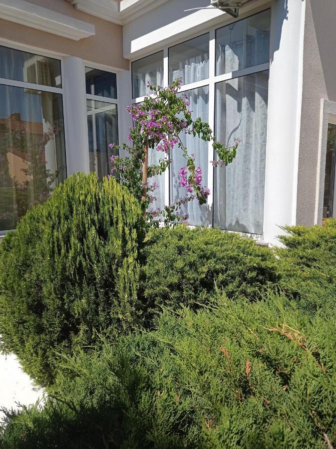 Villa Gregovica &T 2 Pula Exteriör bild